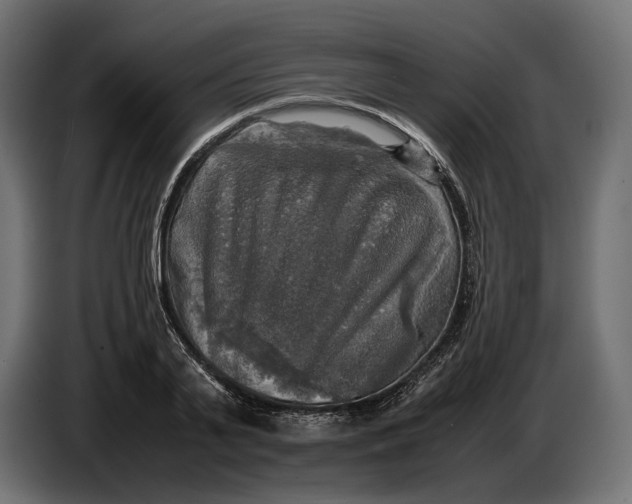 X0000086760791200705041447