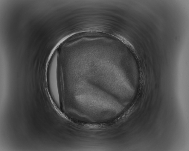 X0000086760792200705041447