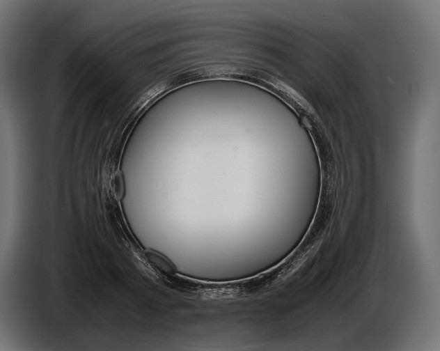 X0000086760793200705041447