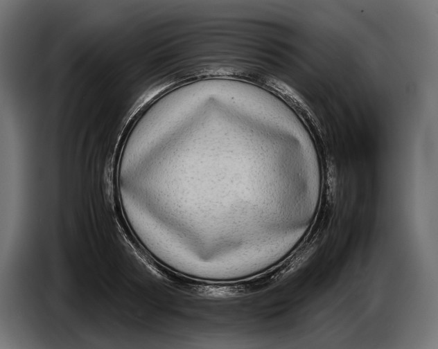 X0000086760794200705041447