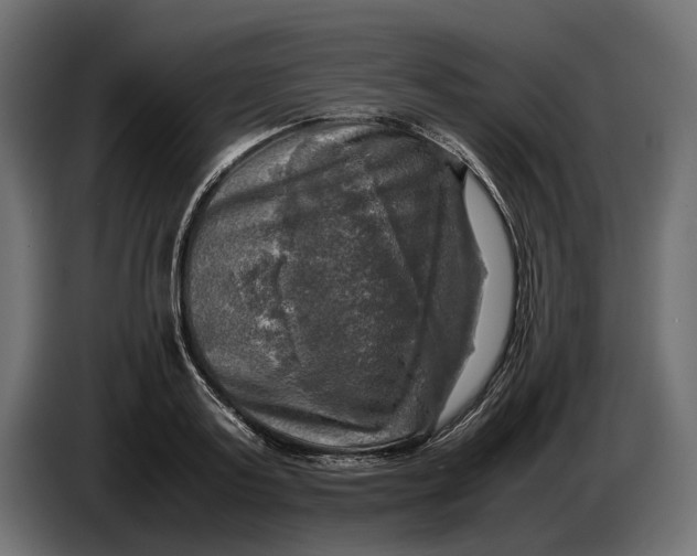 X0000086760795200705041447