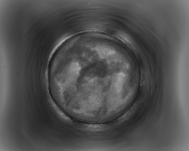 X0000086760796200705041447