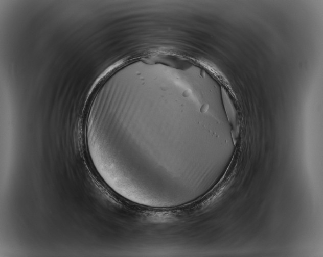 X0000086760798200705041447