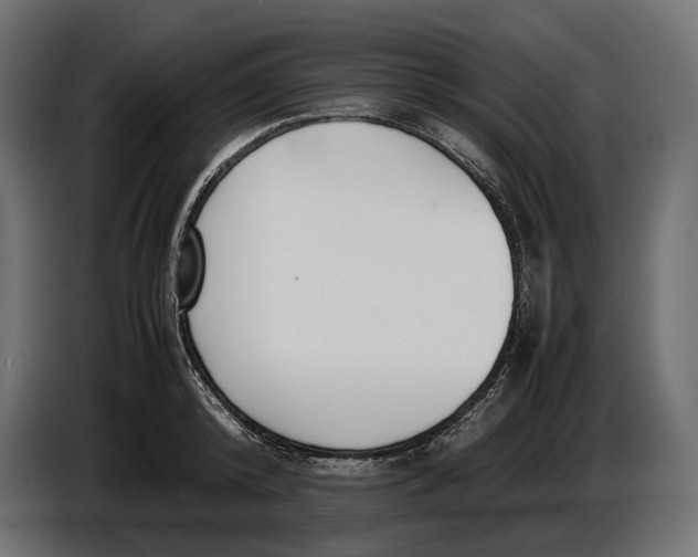 X0000086760800200705041447