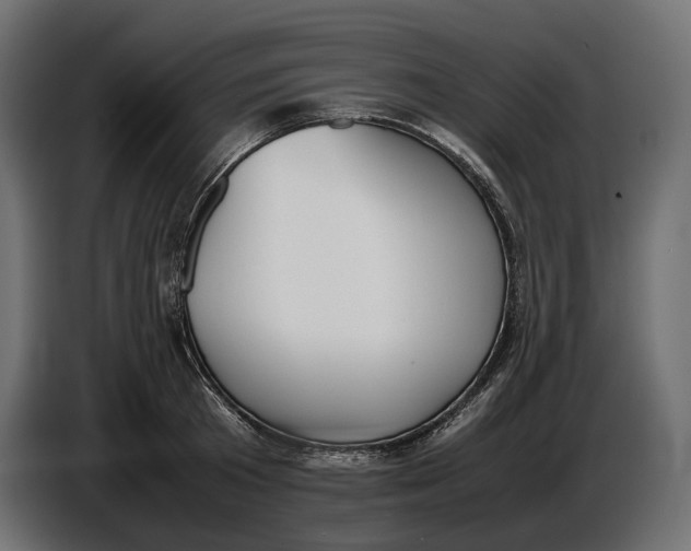 X0000086760801200705041447