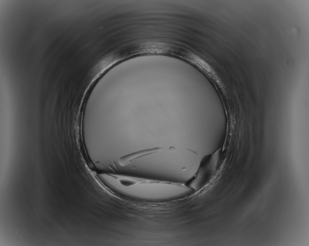 X0000086760802200705041447