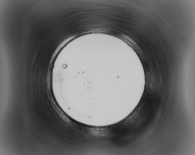 X0000086760804200705041447