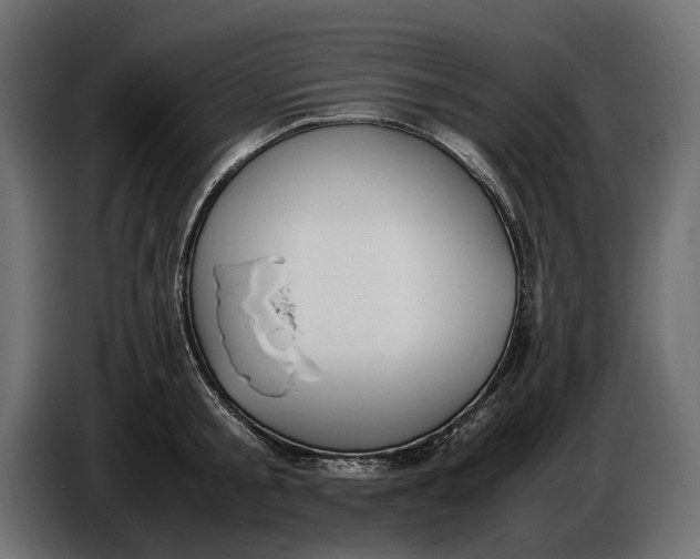 X0000086760805200705041447