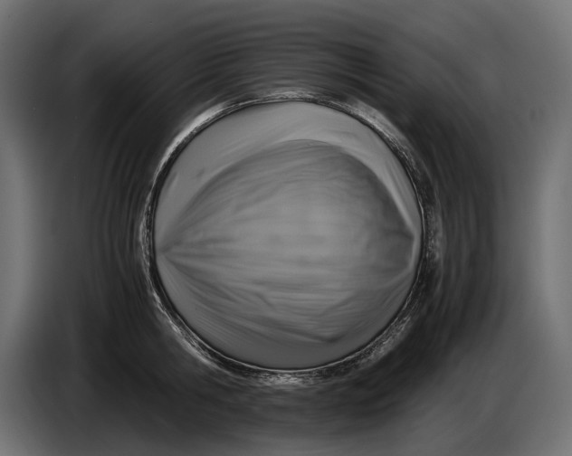 X0000086760806200705041447