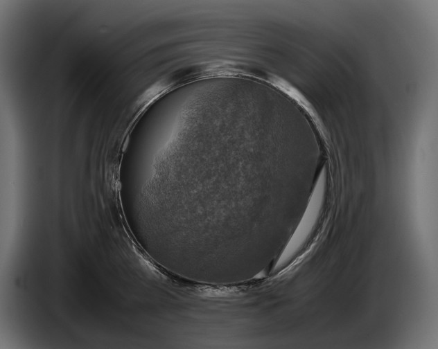 X0000086760809200705041447