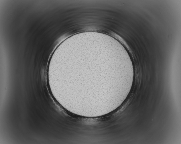 X0000086760810200705041447