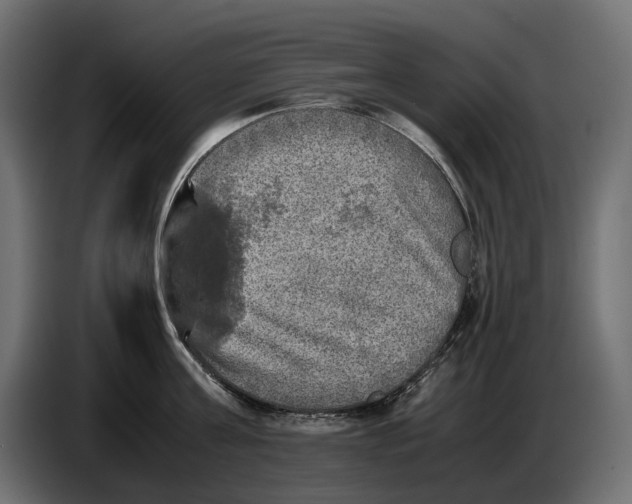 X0000086760811200705041447