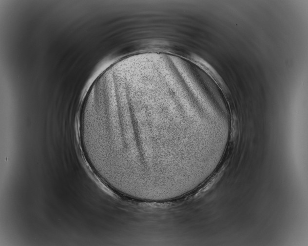 X0000086760812200705041447