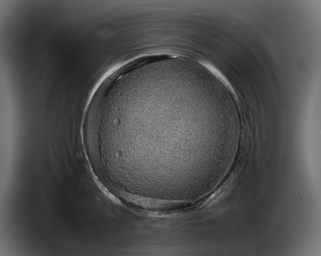 X0000086760813200705041447