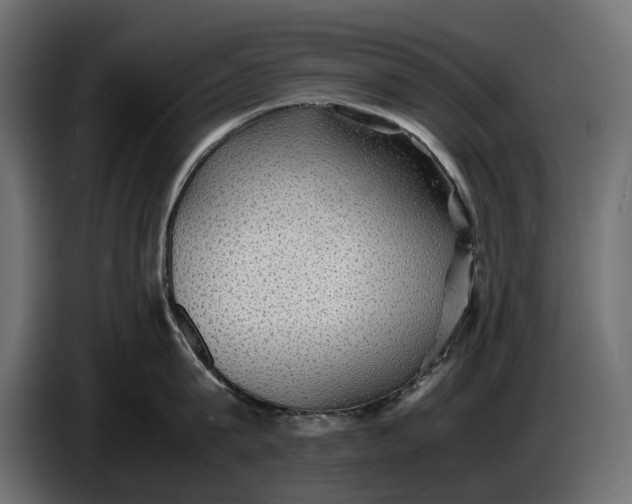 X0000086760815200705041447