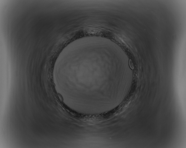 X0000086760817200705041446