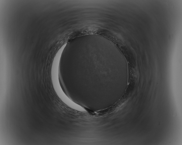 X0000086760818200705041446