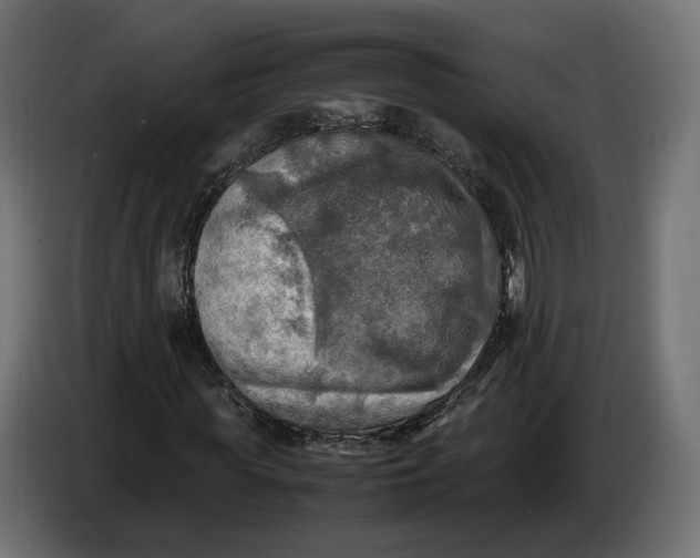 X0000086760819200705041446