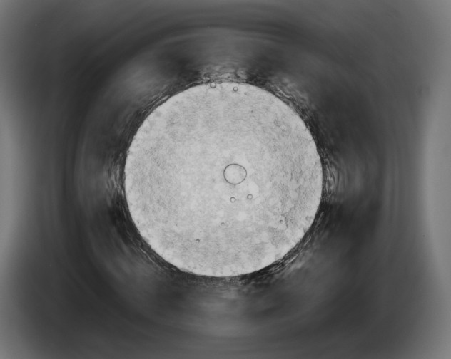 X0000086760820200705041446