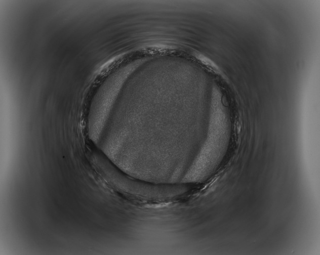 X0000086760822200705041446