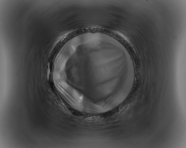 X0000086760823200705041446