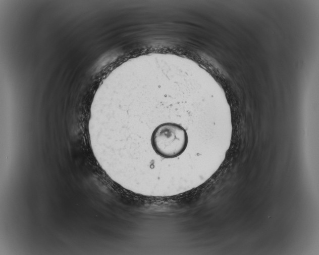 X0000086760824200705041446