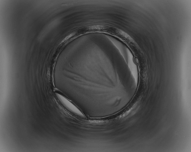 X0000086760825200705041446