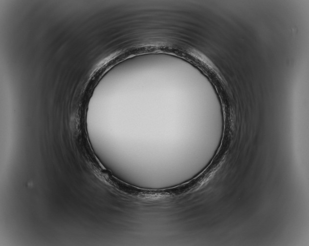 X0000086760826200705041446