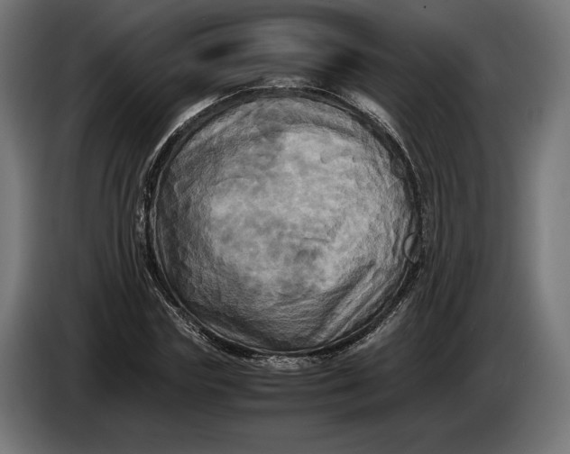 X0000086760827200705041446