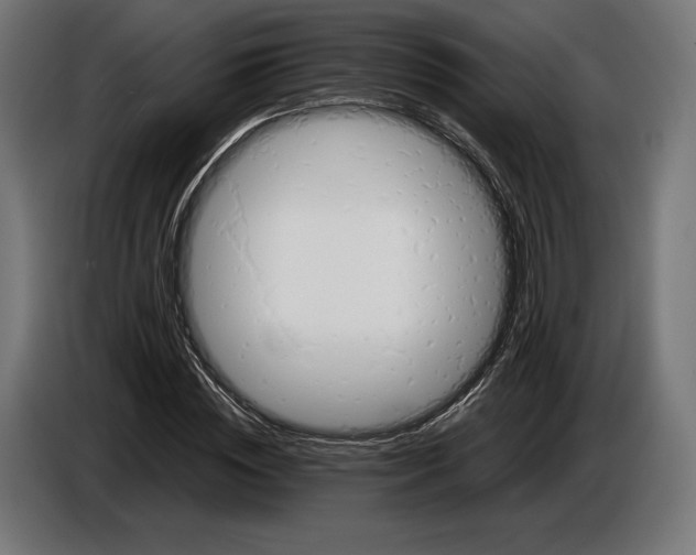 X0000086760828200705041446