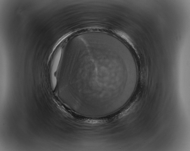 X0000086760829200705041446