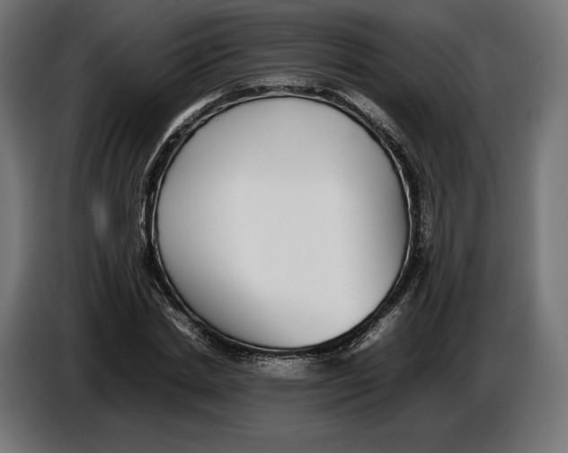 X0000086760830200705041446