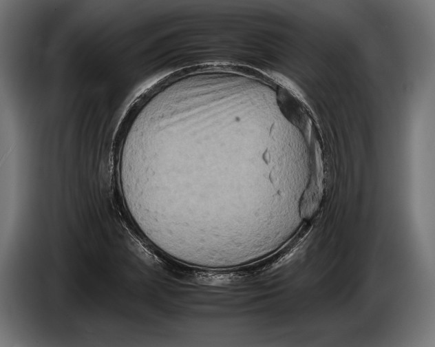 X0000086760831200705041446