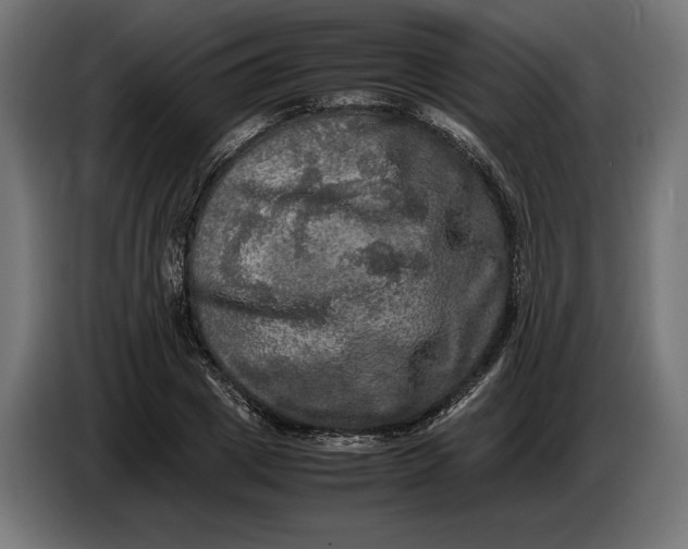 X0000086760833200705041446