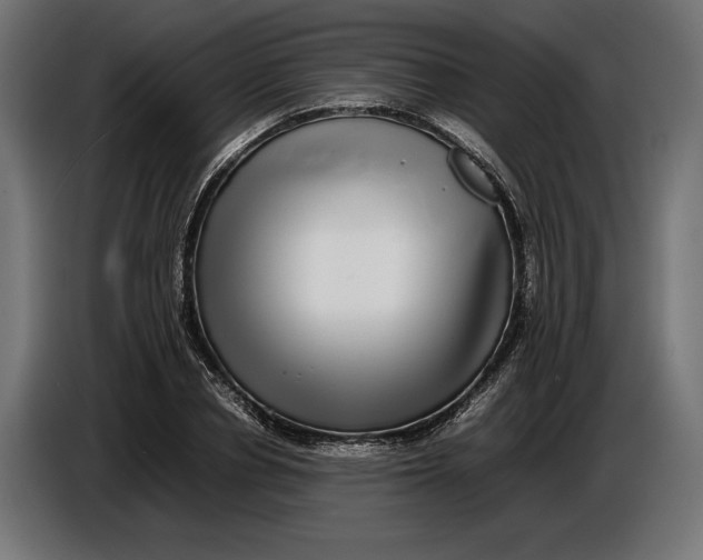 X0000086760834200705041446