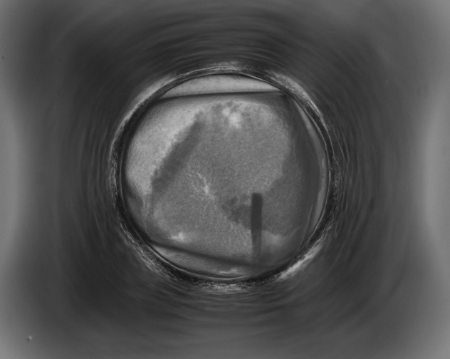 X0000086760835200705041446