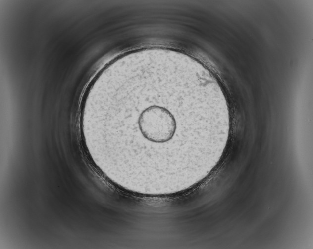 X0000086760836200705041446