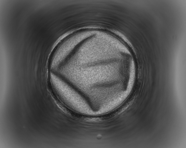 X0000086760837200705041446