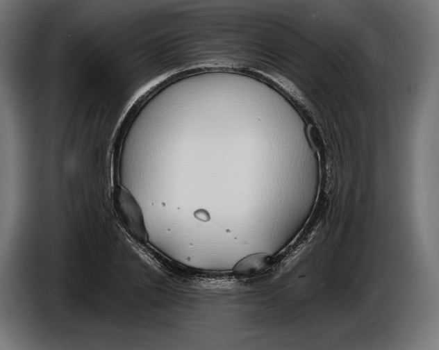 X0000086760838200705041446