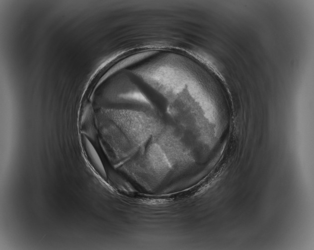 X0000086760839200705041446