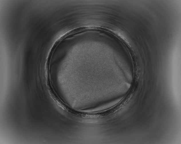 X0000086760840200705041446