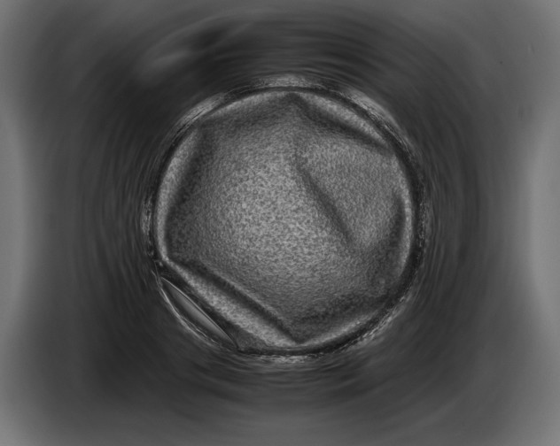 X0000086760841200705041446