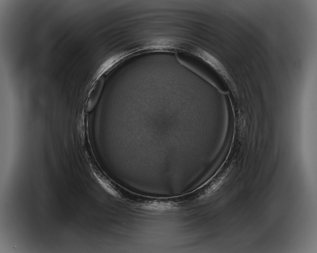 X0000086760842200705041446