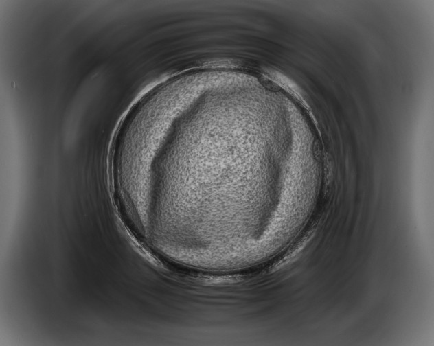 X0000086760843200705041446