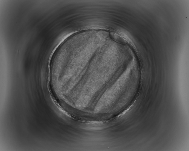 X0000086760844200705041446