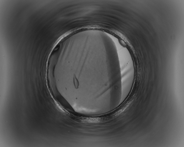 X0000086760845200705041446