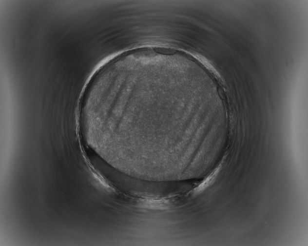 X0000086760846200705041446