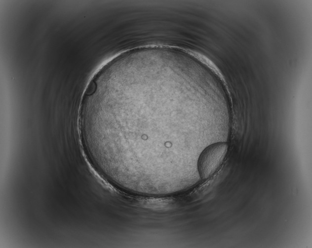 X0000086760847200705041446