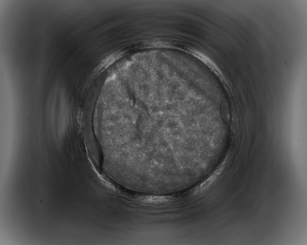 X0000086760849200705041446