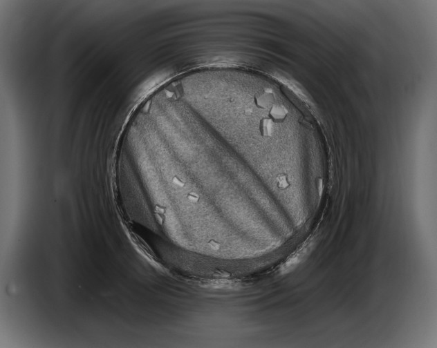 X0000086760850200705041446